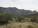 photo thumbnail #10