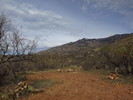 photo thumbnail #15