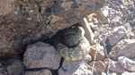 photo thumbnail #14