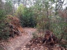 photo thumbnail #2