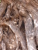 photo thumbnail #13