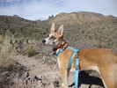 photo thumbnail #2