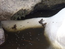 photo thumbnail #14