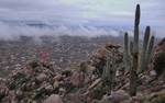 photo thumbnail #6