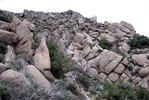 photo thumbnail #7