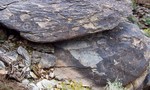 photo thumbnail #7