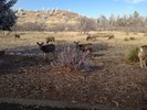 photo thumbnail #4