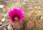 photo thumbnail #1