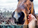 photo thumbnail #2