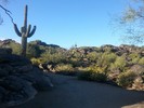photo thumbnail #12