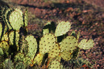 photo thumbnail #7