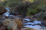 photo thumbnail #6