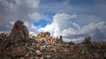 photo thumbnail #3