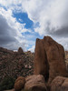 photo thumbnail #5