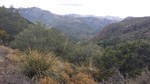 photo thumbnail #1