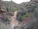 photo thumbnail #8