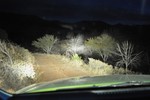 photo thumbnail #2
