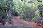 photo thumbnail #11