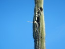 photo thumbnail #7
