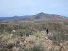 photo thumbnail #3