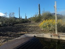photo thumbnail #1