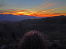 photo thumbnail #3
