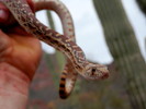 photo thumbnail #6