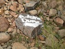 photo thumbnail #6