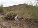 photo thumbnail #9