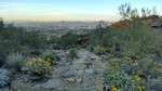 photo thumbnail #3
