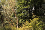 photo thumbnail #10
