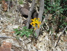 photo thumbnail #12