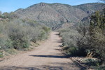 photo thumbnail #3