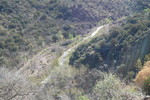photo thumbnail #8