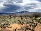 photo thumbnail #2