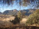 photo thumbnail #6