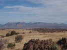 photo thumbnail #10