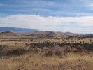 photo thumbnail #14