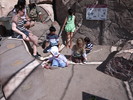 photo thumbnail #13