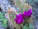 photo thumbnail #5