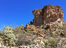 photo thumbnail #10
