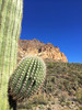 photo thumbnail #15