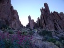 photo thumbnail #8