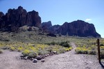photo thumbnail #13