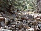 photo thumbnail #8