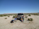 photo thumbnail #11