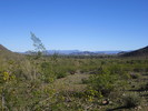 photo thumbnail #4
