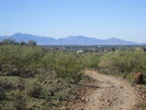 photo thumbnail #7