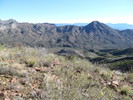 photo thumbnail #8