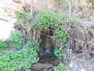photo thumbnail #15